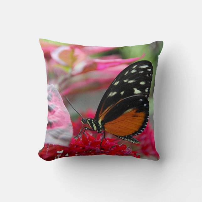 Papillon orange et noir sur Fleurs Coussin photo (Recto)