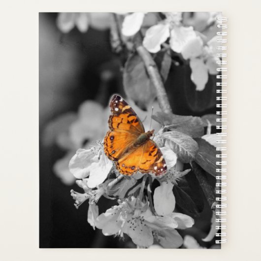 Papillon orange sur Apple Blossom Daily Planner (Dos)