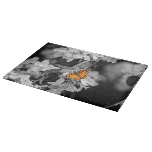 Papillon orange sur la planche à découper (Coin)