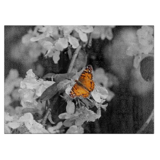 Papillon orange sur la planche à découper (Devant)