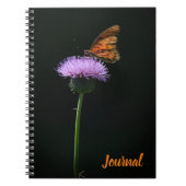 Papillon orange sur le Journal des fleurs violette (Devant)
