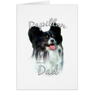 Papillon Pa 2