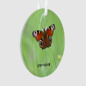 Papillon Paon (devant)