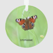 Papillon Paon (dos)
