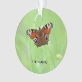 Papillon Paon (devant)