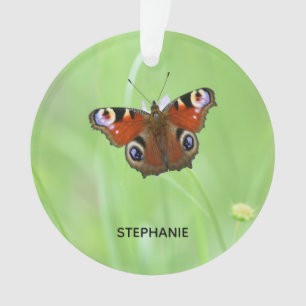 Papillon Paon