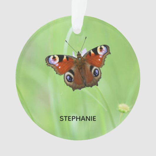 Papillon Paon (devant)