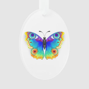 Papillon Paon Arc-en-ciel