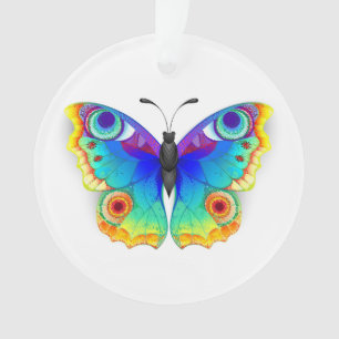 Papillon Paon Œil Arc-en-Ciel