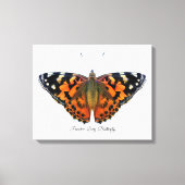 Papillon-papillon peint Aquarelle Peinture toile (Recto)