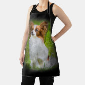 papillon, papilon, papillon-honden, papillon-honde schort (Insitu)