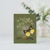 Papillon peint - Carte postale (Debout devant)