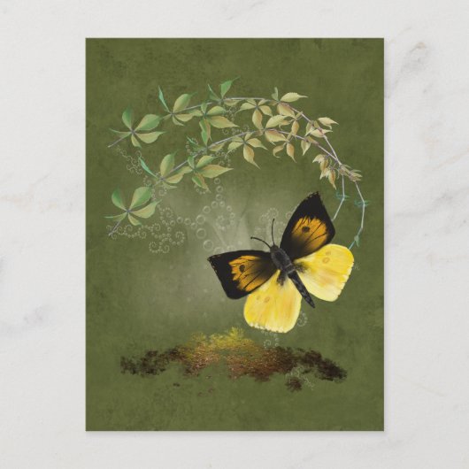 Papillon peint - Carte postale (Devant)