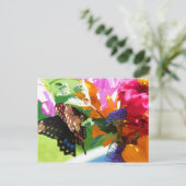 Papillon - Penser à votre carte postale (Debout devant)