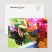 Papillon - Penser à votre carte postale (Devant / Derrière)