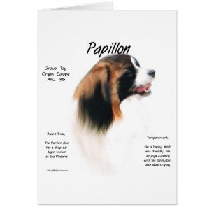 Papillon (Phalene) Geschiedenis ontwerp