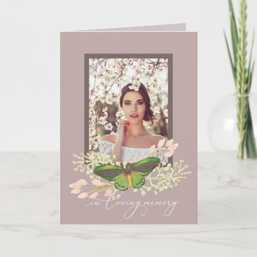 Papillon Photo Memorial Folk Programme (Devant)