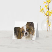 papillon.png kaart (Gele Bloem)