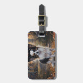 Papillon pompoenen Halloween eng Bagagelabel (Voorkant verticaal)