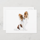 Papillon Portrait Waterverf Briefkaart (Voorkant / Achterkant)