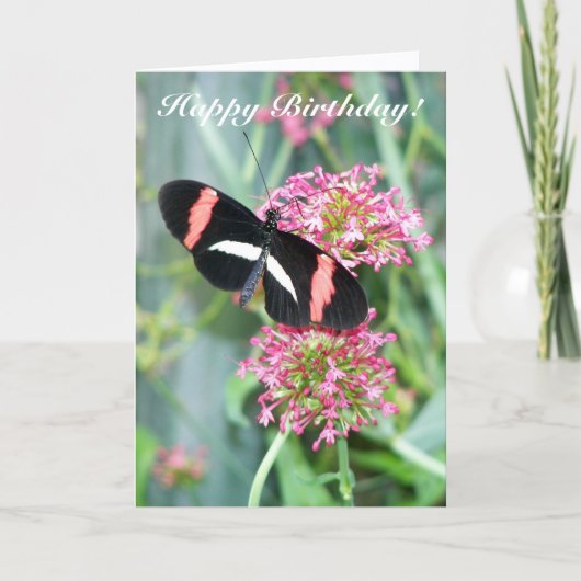 Papillon Postman sur Fleurs roses Carte d'annivers (Devant)
