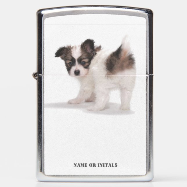 PAPILLON PUPPY (Voorkant)