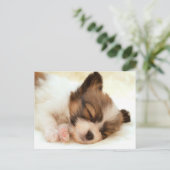 Papillon puppy briefkaart (Staand voorkant)