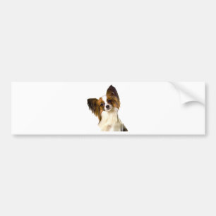 Papillon puppy geïsoleerd op bewerkbare achtergro bumpersticker