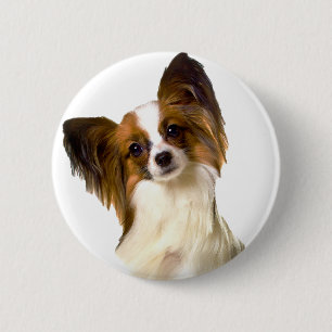 Papillon puppy geïsoleerd op bewerkbare achtergro ronde button 5,7 cm