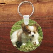 Papillon Puppy Sleutelhanger (Voorkant)