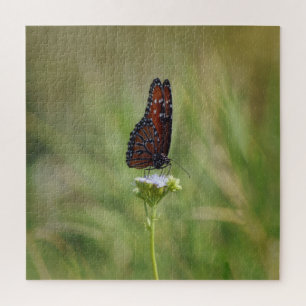 Papillon Reine et Puzzle Fleur Sauvage