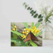 Papillon Reine Tropicale, Floride - carte postale (Debout devant)