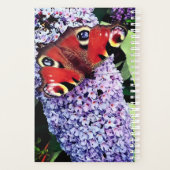 Papillon rouge (Dos)