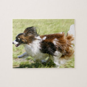 Papillon runnen legpuzzel