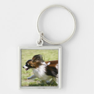 Papillon runnen sleutelhanger