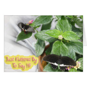 Papillon-Salut