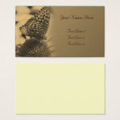 Papillon Sepia Vieilli Sur La Nature Fleur (Devant & derrière)