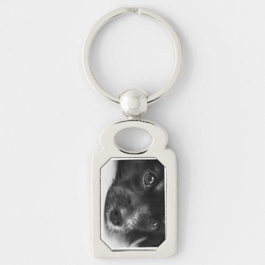 papillon sleutelhanger (Voorkant)