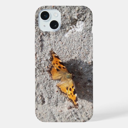 Papillon sous le soleil (Verso)