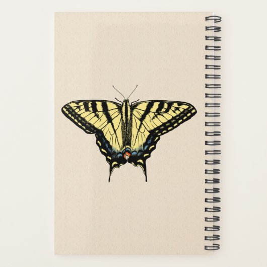 Papillon Southwestern jaune Swallowtail (Dos)