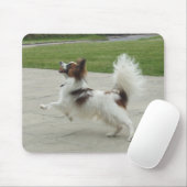Papillon springen muismat (Met muis)