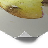 Papillon Sulfuré Nuageux Impression d'Art Affiche (Coin)