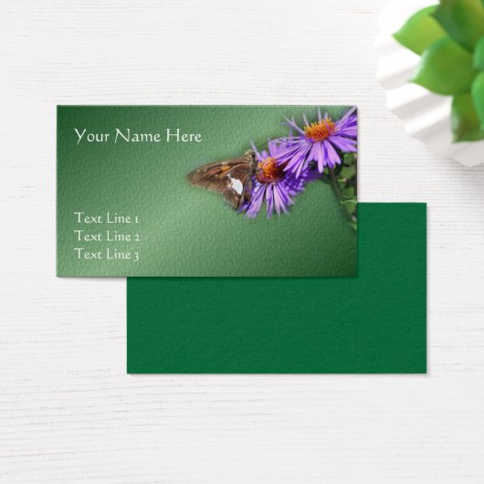 Papillon sur Asters violets Nature (Bureau)