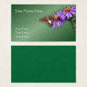 Papillon sur Asters violets Nature (Devant & derrière)