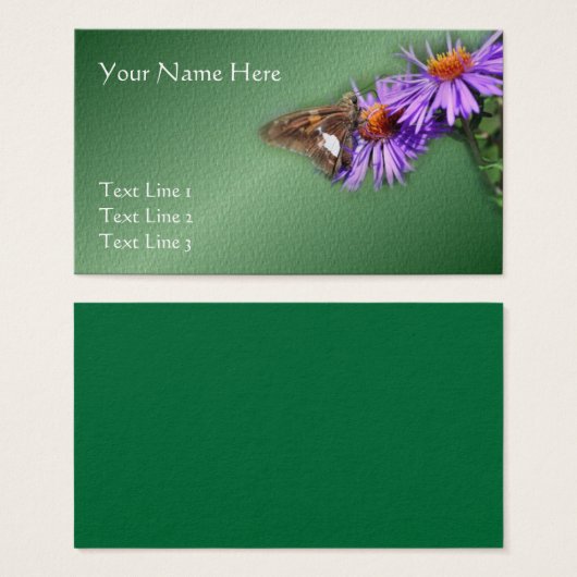 Papillon sur Asters violets Nature (Devant & derrière)