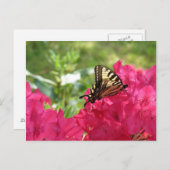 Papillon sur Azalea Nature Floral Carte postale (Devant / Derrière)