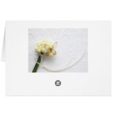 Papillon sur bouquet de fleurs (Dos Horizontal)