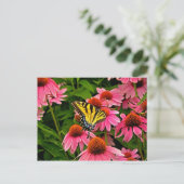 Papillon sur carte postale Flower v21 (Debout devant)