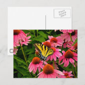 Papillon sur carte postale Flower v21 (Devant / Derrière)