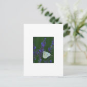 Papillon sur carte postale Lavender (Debout devant)